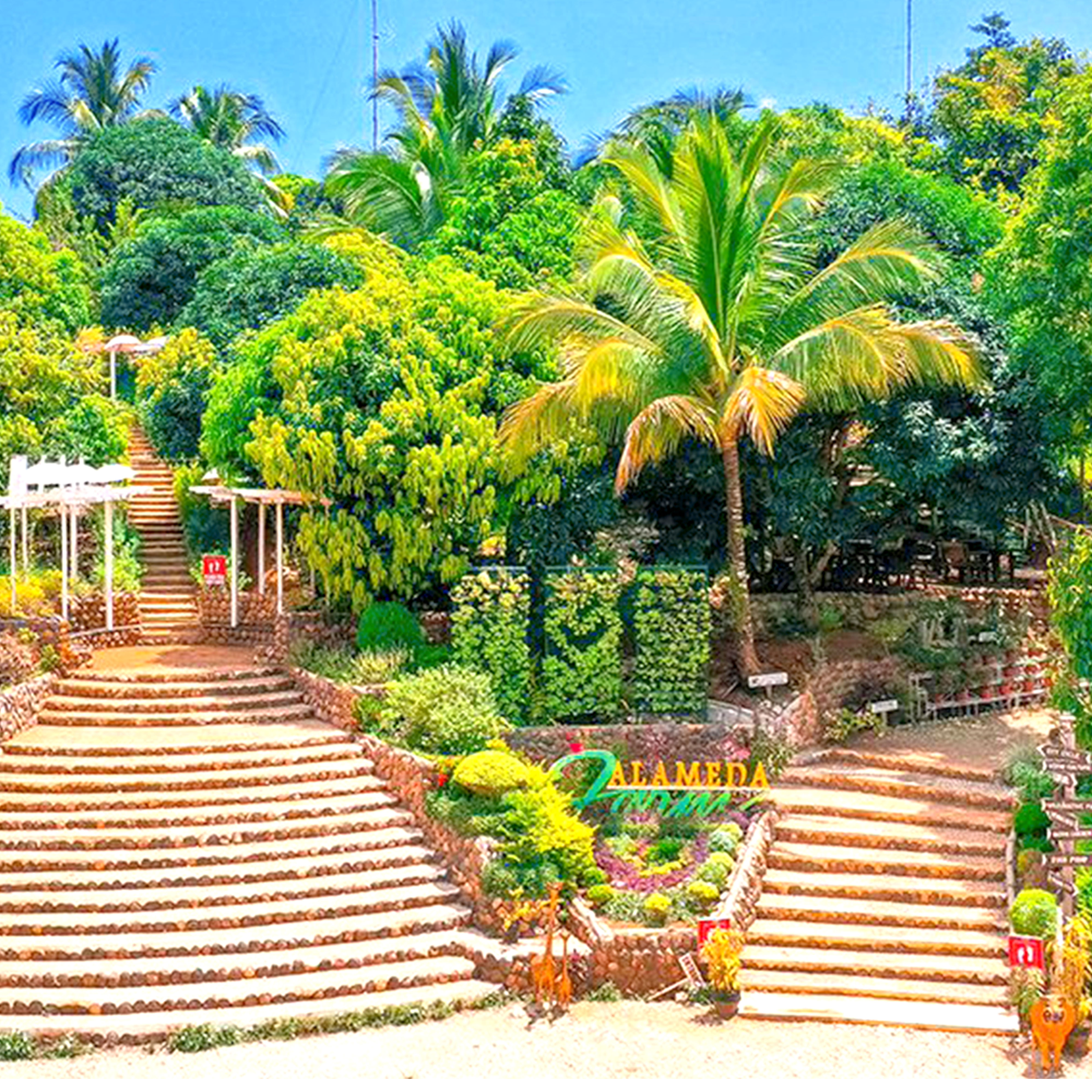 <b class="font-bara"><i class="bi bi-geo-fill h4"></i> ALAMEDA FARM</b> <br/>Wonderland of Wildlife
Surigao's Favorite Destination for Adventure Seekers.